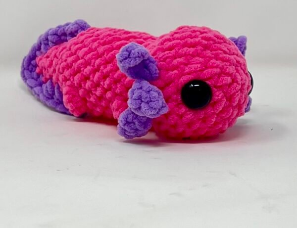 Medium Axolotl