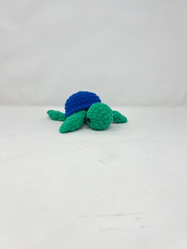 Sea Turtle